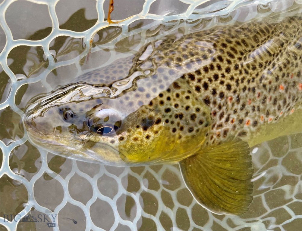 Gallatin River Farm North - Land