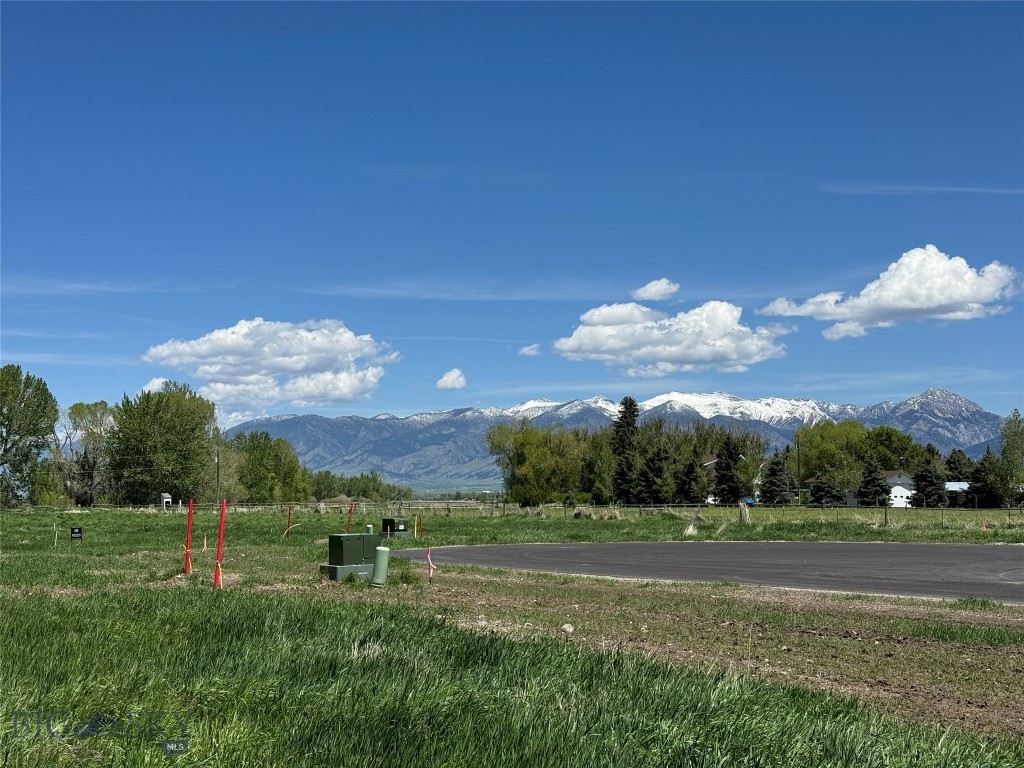 Bridger Shadows East - Land