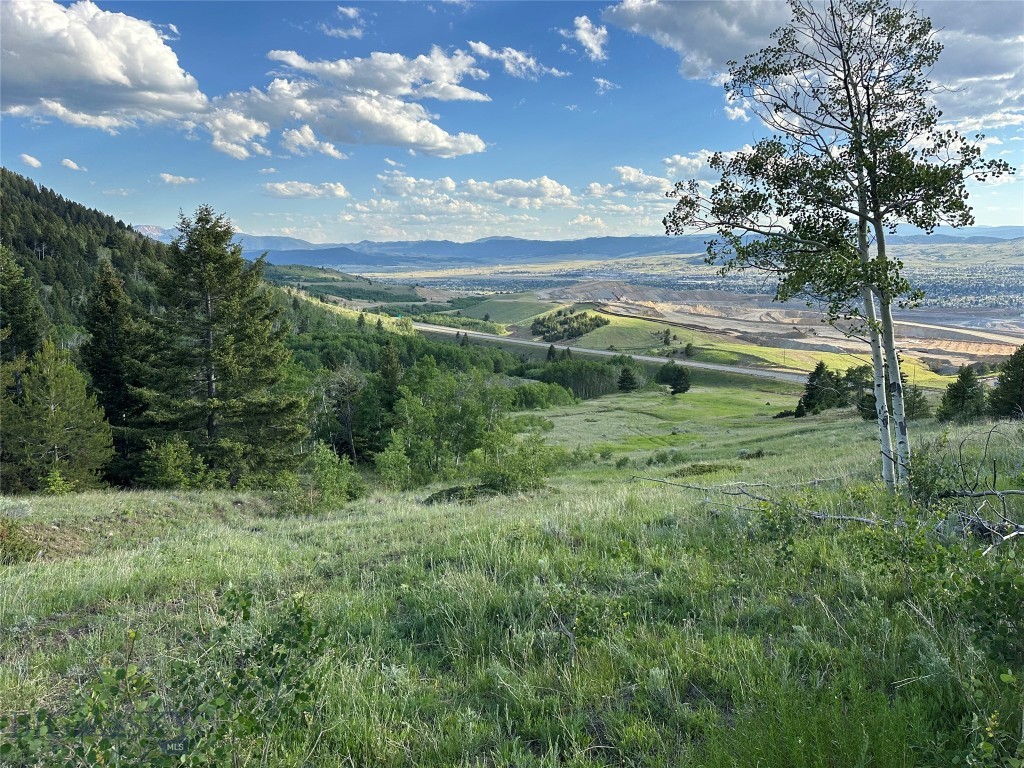 Just outside of Butte, Montana, this 99-acre parcel which is a smaller part of the original Horse Canyon Retreat offering which offers a mix of timber, aspen groves, and open meadows with views of the Highland Mountains and valley. Springs and Douglas Fir provide excellent wildlife habitat, attracting elk and deer throughout the seasons. A solid internal road system allows easy access to multiple building sites, with power available and septic approval already in place. Free of covenants or restrictions, this tract is ready for a wide range of uses, whether as a mountain retreat, recreational basecamp, or private getaway within minutes of town.