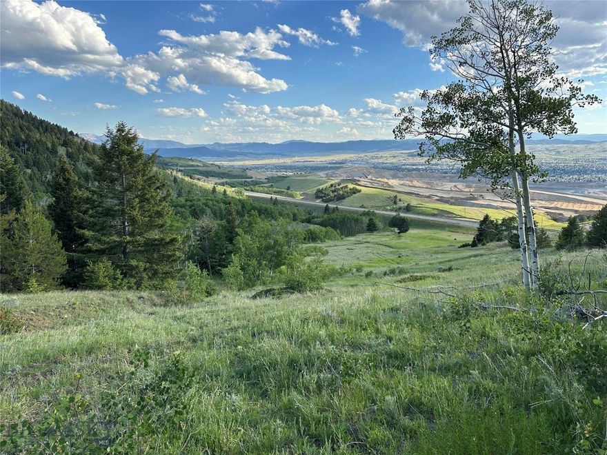 Just outside of Butte, Montana, this 99-acre parcel which is a smaller part of the original Horse Canyon Retreat offering which offers a mix of timber, aspen groves, and open meadows with views of the Highland Mountains and valley. Springs and  Douglas Fir provide excellent wildlife habitat, attracting elk and deer throughout the seasons. A solid internal road system allows easy access to multiple building sites, with power available and septic approval already in place. Free of covenants or restrictions, this tract is ready for a wide range of uses, whether as a mountain retreat, recreational basecamp, or private getaway within minutes of town.