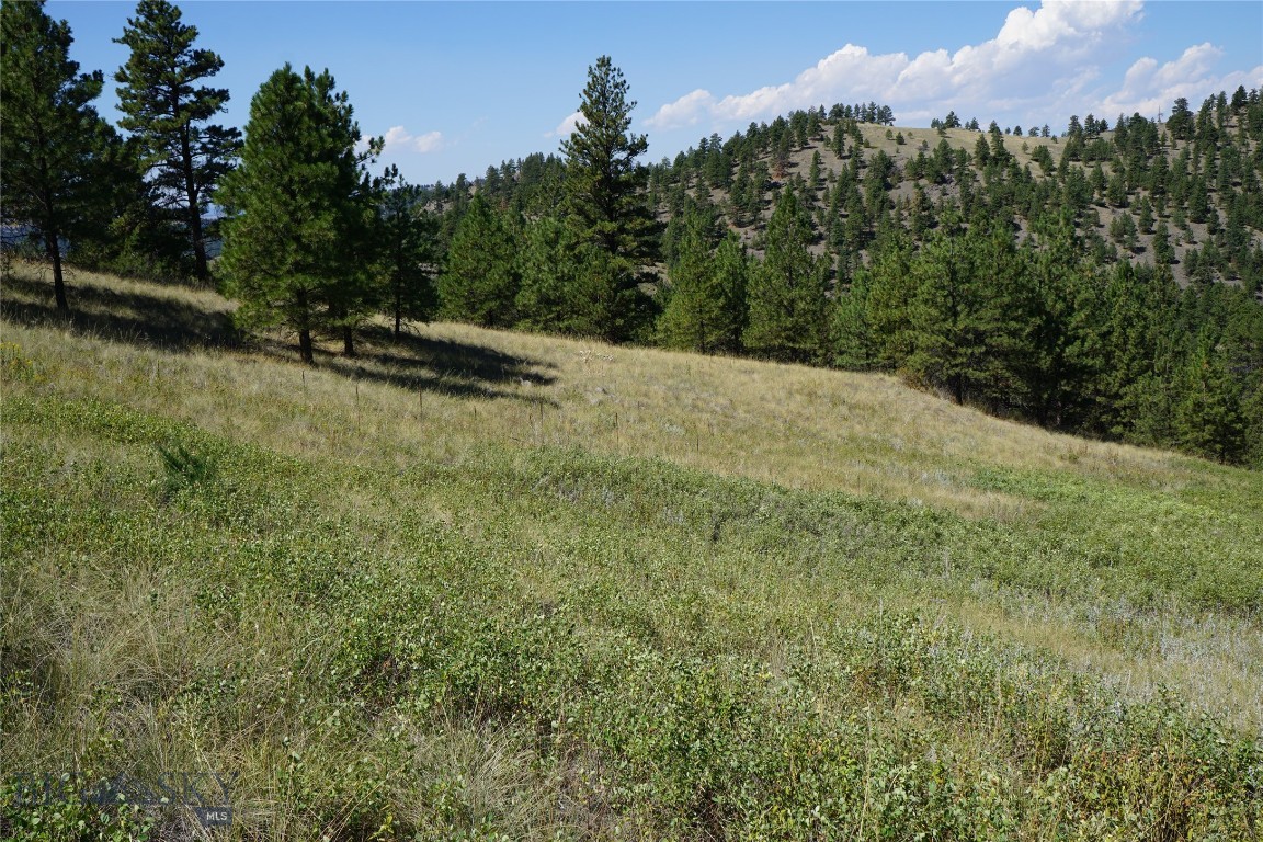 Other - Land