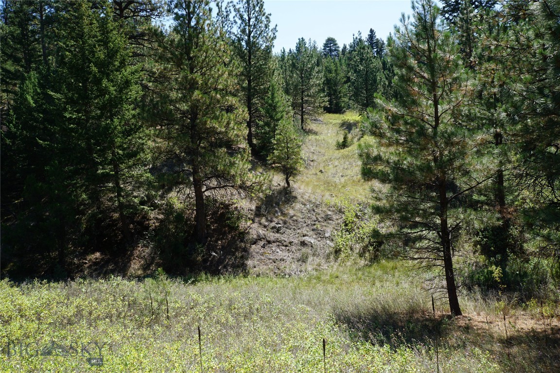 Other - Land