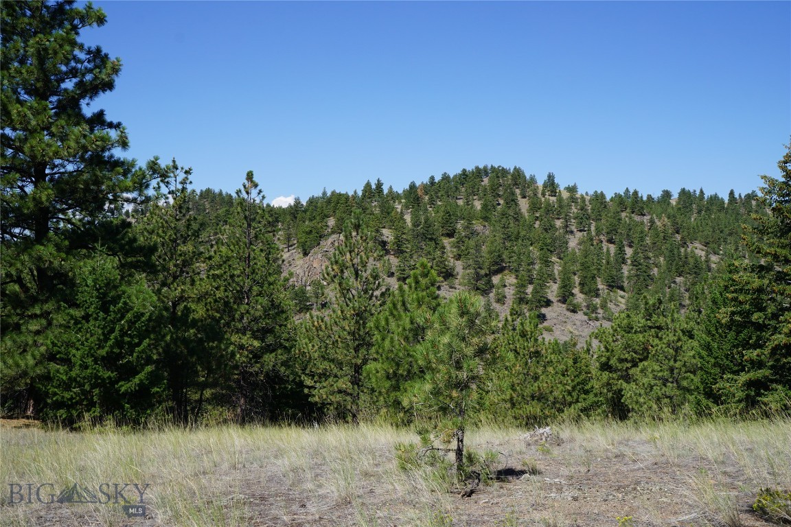 Other - Land