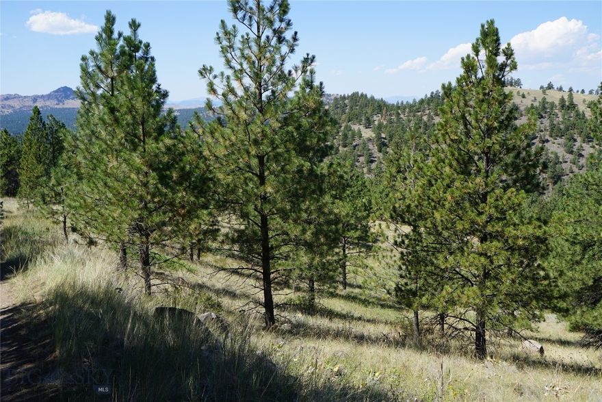 Welcome to Ridge Crest Retreat! This beautiful property consists of 2 lots totaling 12.48 acres, ideal for camping, recreation, or building your dream off-grid cabin.  Nestled in a peaceful rural setting, this gently sloping lot provides beautiful views, towering pine trees, and a sanctuary away from the hustle and bustle. Outdoor enthusiasts will appreciate the proximity to the Missouri River—perfect for fishing, floating, and outdoor adventures. Enjoy the added benefit of two nearby parks exclusively for Dearborn landowners, perfect for picnics and access to the Dearborn River. Don’t miss out on this opportunity!