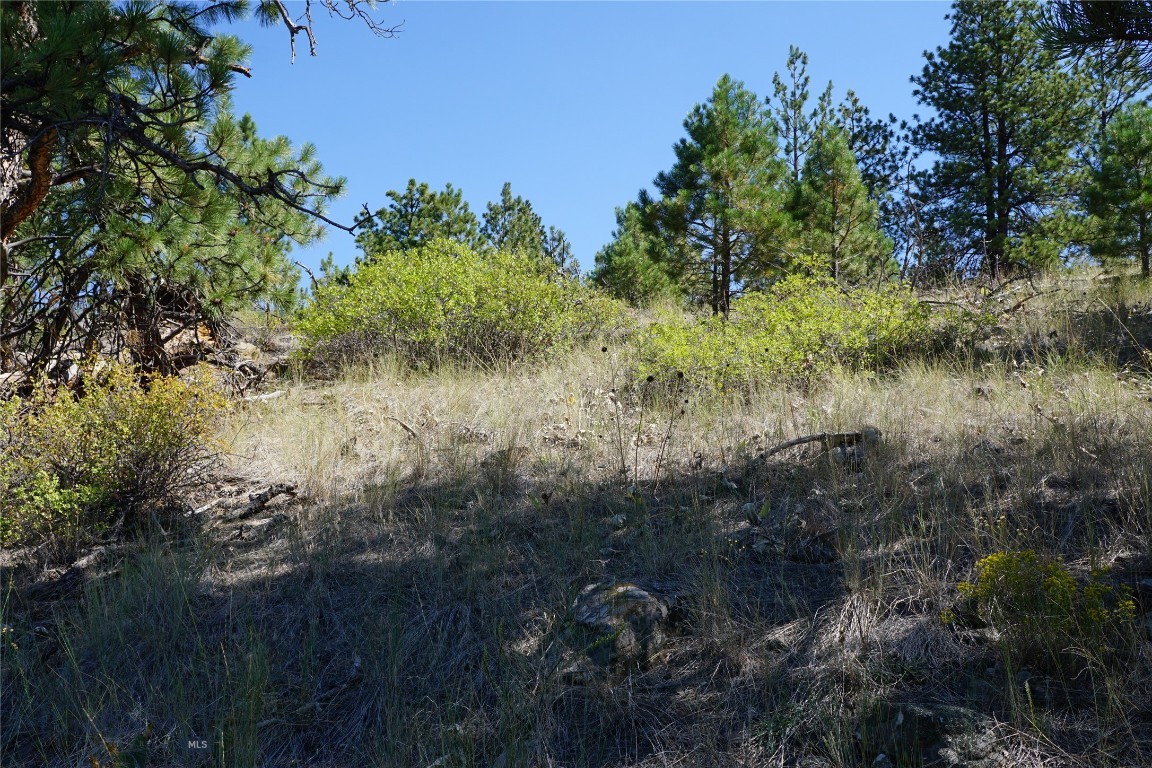 Other - Land