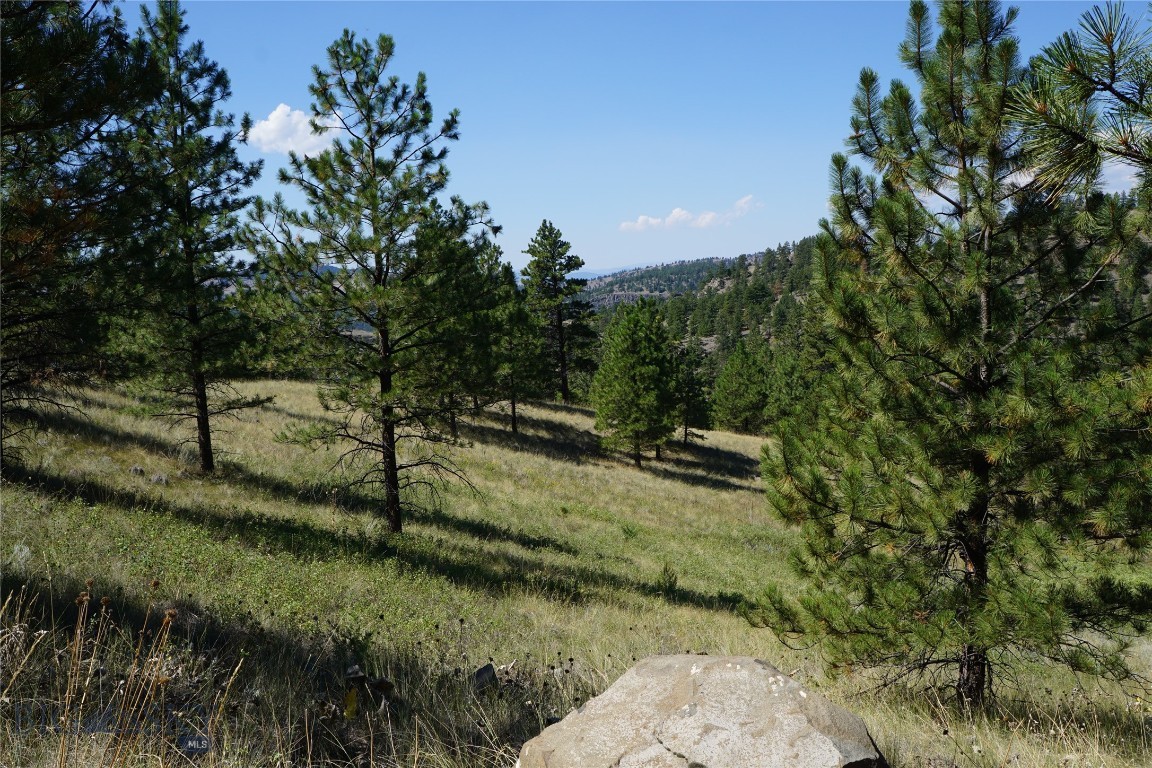 Other - Land