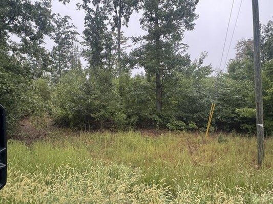 W JAMES ANDERSON HWY, GLADSTONE, VA 24553 - Image 014701abf0b9b8a94ed855add5e6f2fc/802836654