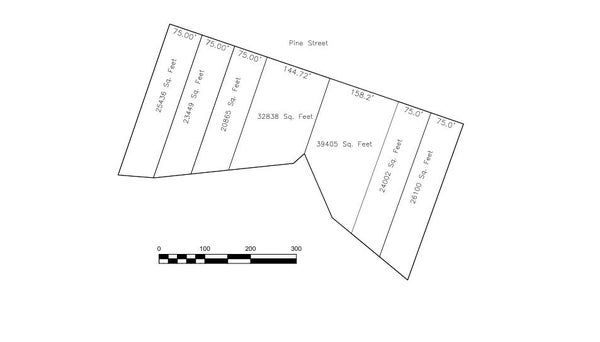 104 PINE RD, BLACKSTONE, VA 23824 - Image 1768dacfc96d3c2b7b129ceae2f6af75/2511025452
