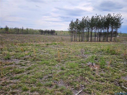 PRINCE EDWARD HWY, RICE, VA 23966 - Image 4d817b1665bf3d2fcfe7c99dc5073f6e/1380344080