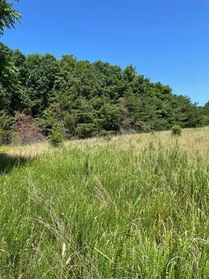 639 ELAM RD, PAMPLIN, VA 23958 - Image 5f8905f024bec6cd5d80d8add1c15fc3/1669805309