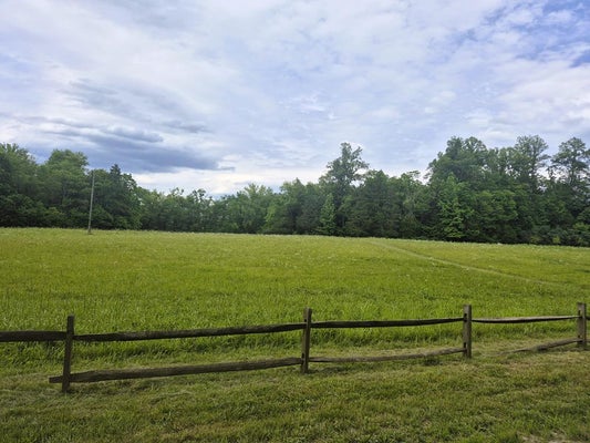 FALKLAND RD, MEHERRIN, VA 23954 - Image 771f8c2cde01f8547ae9dfa623ce95ff/655712404