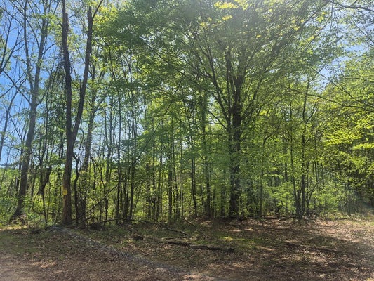 GREENFIELD DR, GLADSTONE, VA 24553 - Image 7b9aaa1522b71dbb45b856ddacee4c72/2987580821