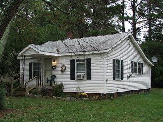 117 PETTUS ST, CHASE CITY, VA 23924 - Image 8a9edc56204e2eb9825fbcc28d0aa69a/3796547008