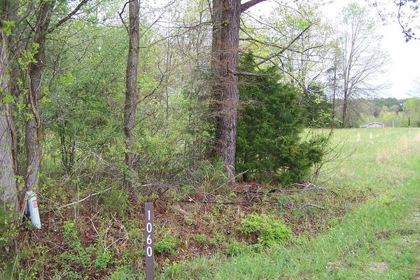 124 POPLAR LAWN RD, BLACKSTONE, VA 23824 - Image cc6aa3f2ac948d159601cdeee7b57bad/2420716484