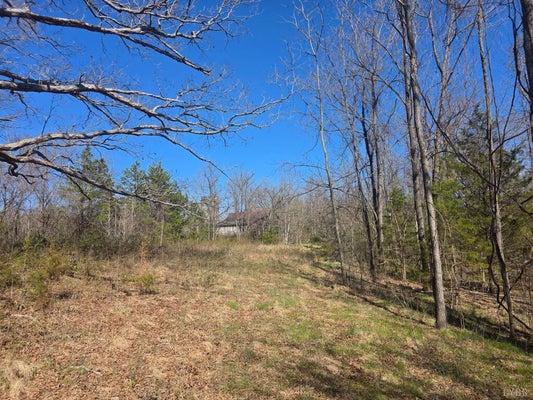 ASPENWALL RD, BROOKNEAL, VA 24528 - Image d491747090fc10bfa49ea60e89ef79fa/3948028880