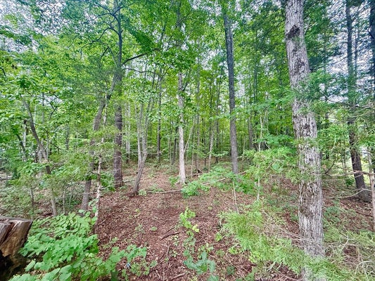FOREST CHAPEL RD, PAMPLIN, VA 23958 - Image ed86cd45f5d2a88f677ac5b6ef81bcf3/270866185