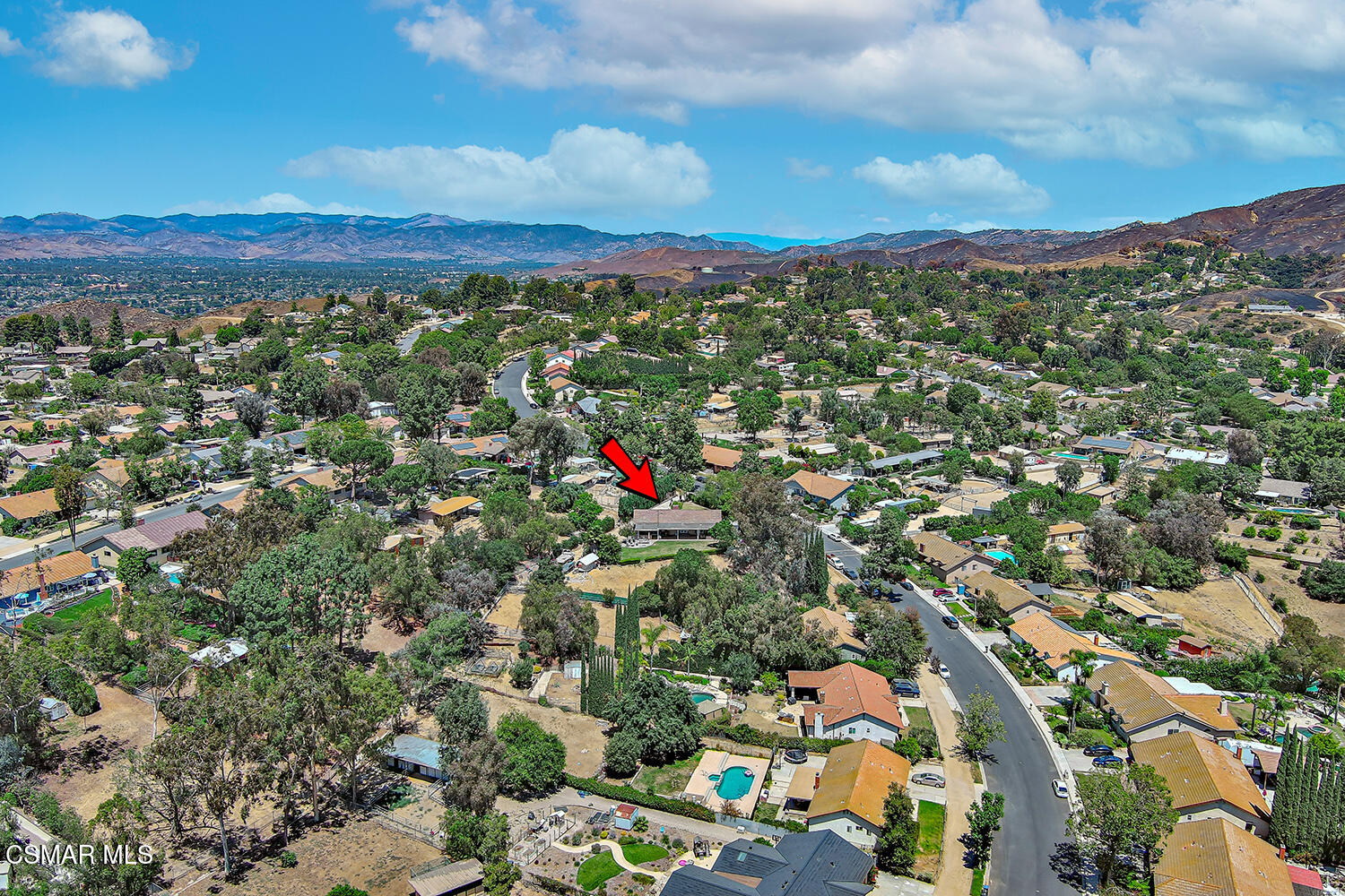 1351 Rambling Road