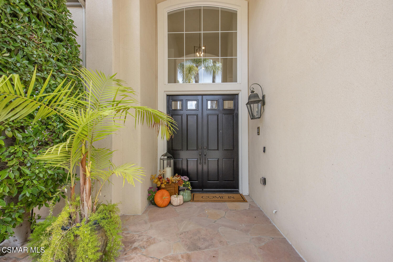 181 Dusty Rose Court