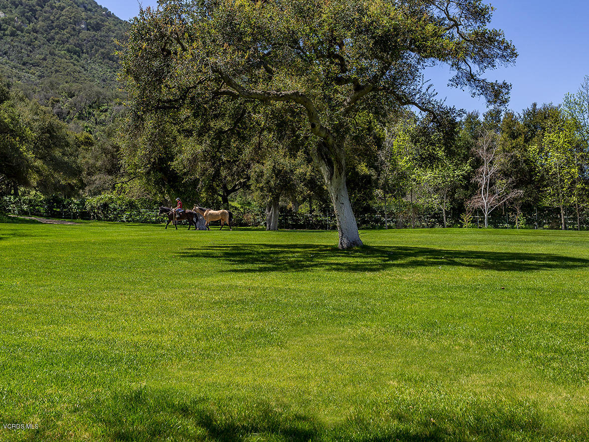 1464 Hidden Valley Road