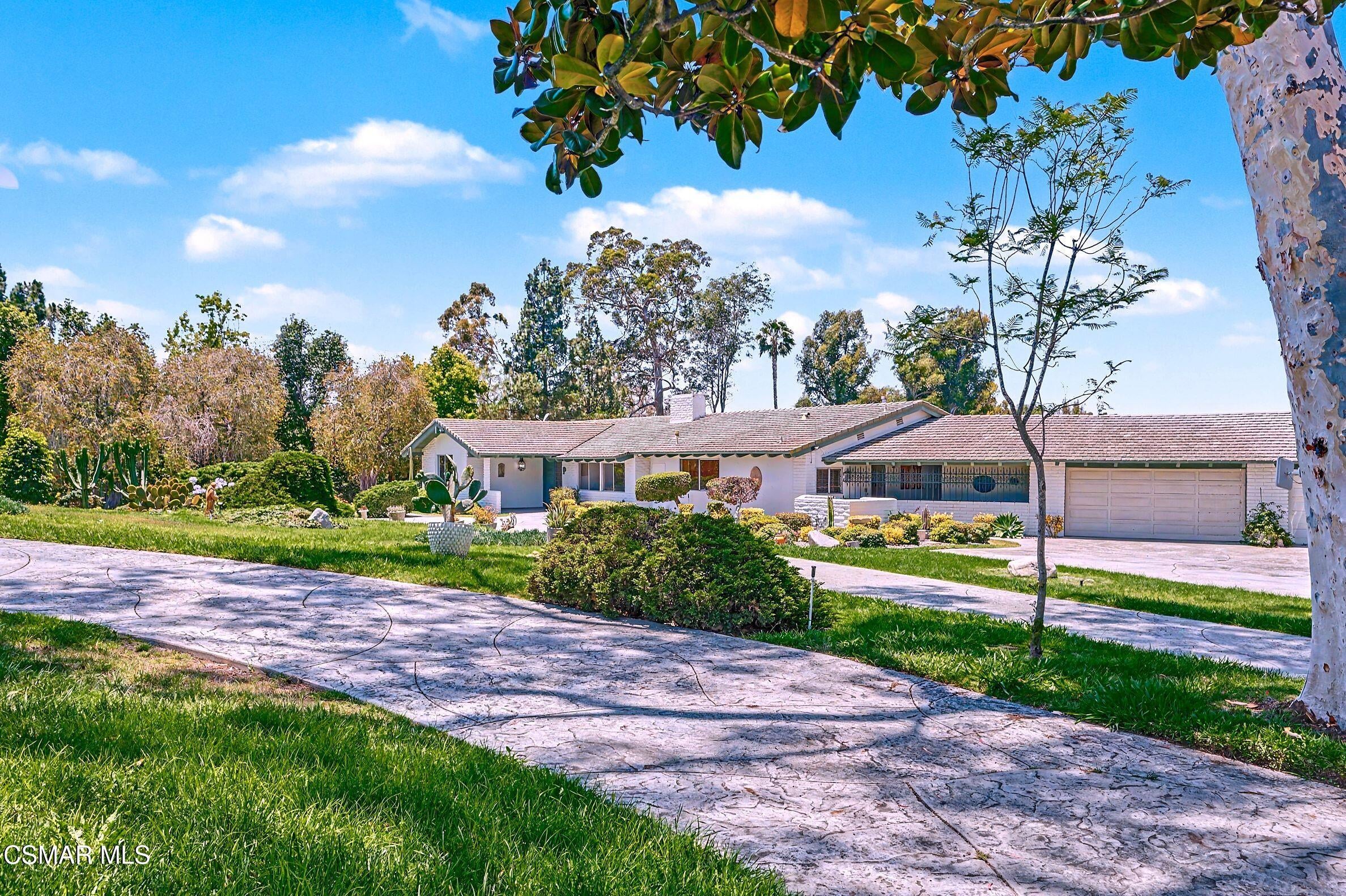 195 Avocado Place
