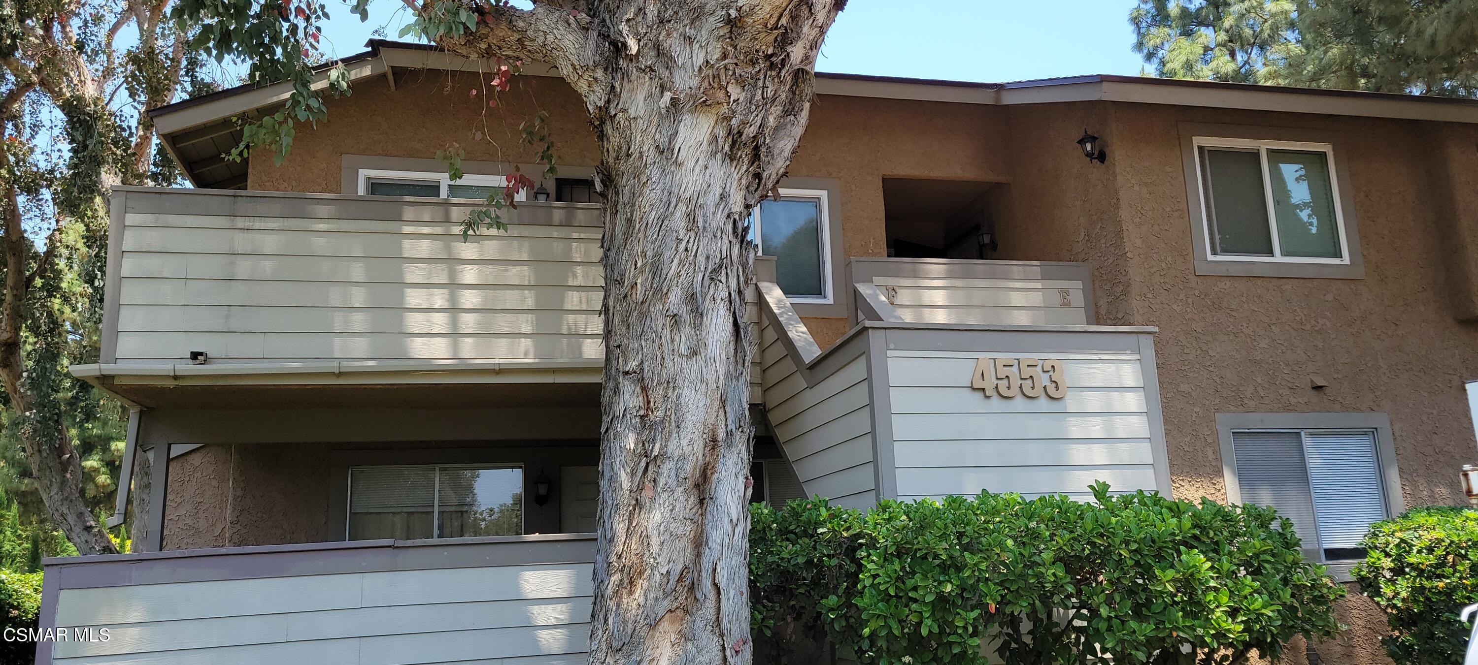 4553 Alamo Street F