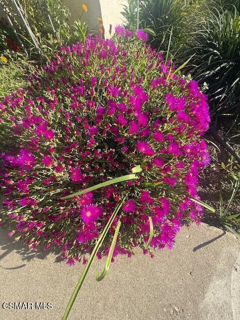 1341 Edgewood Way 23