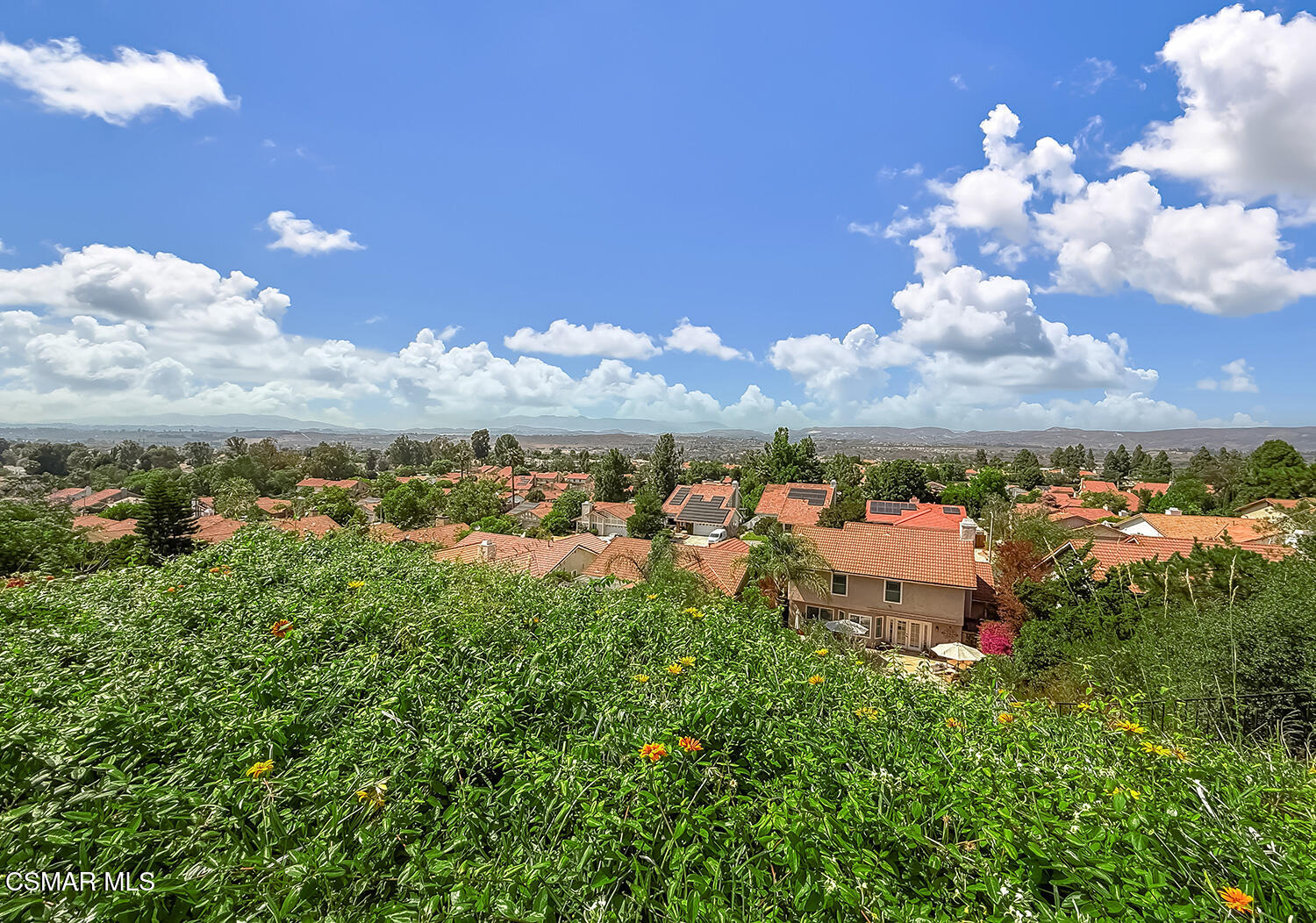 13749 Gunsmoke Road