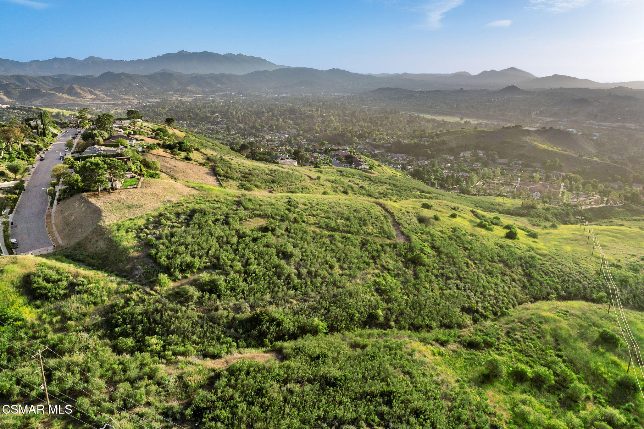 Wilder & Sapra Street