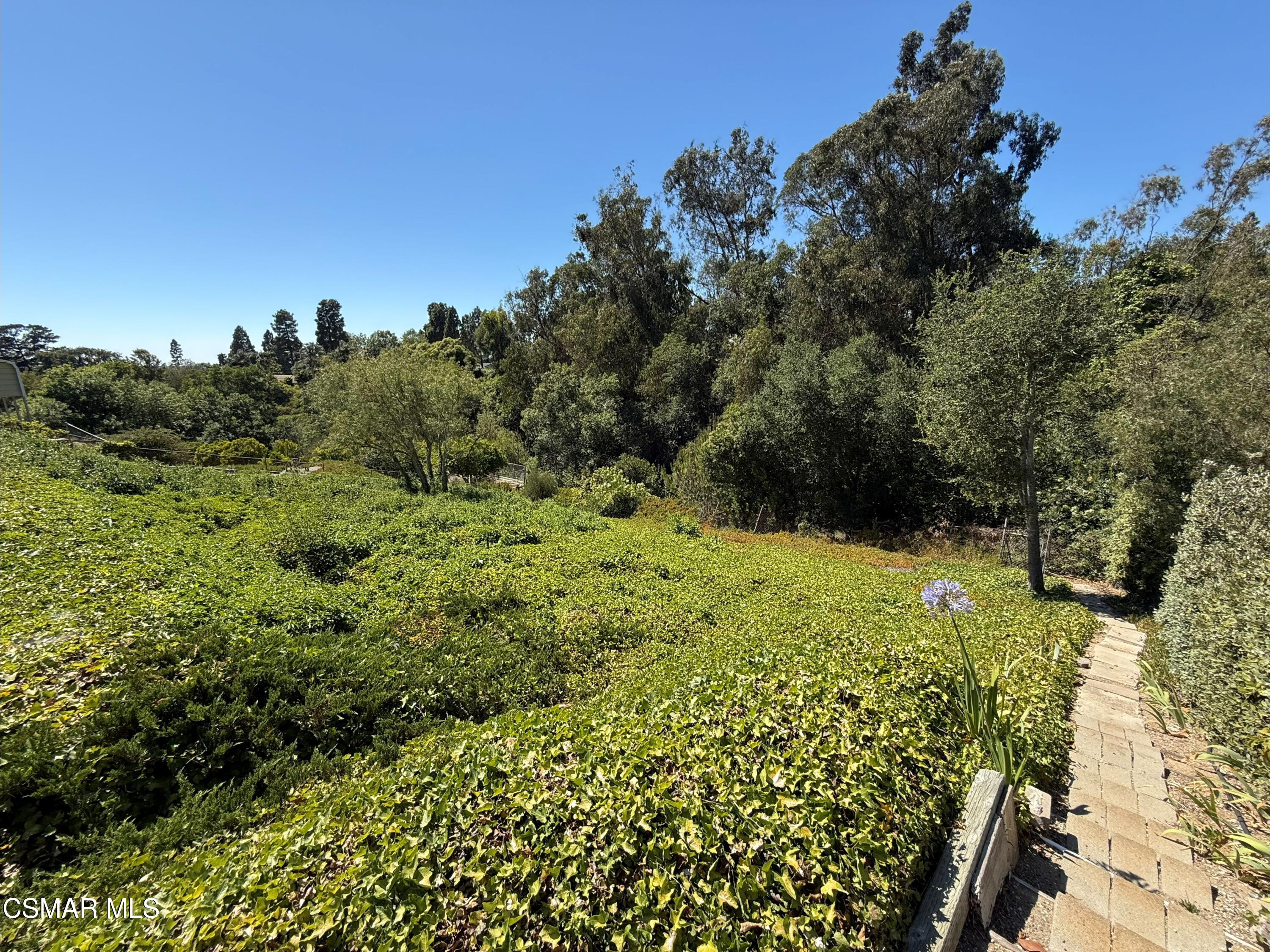 862 Camino Concordia