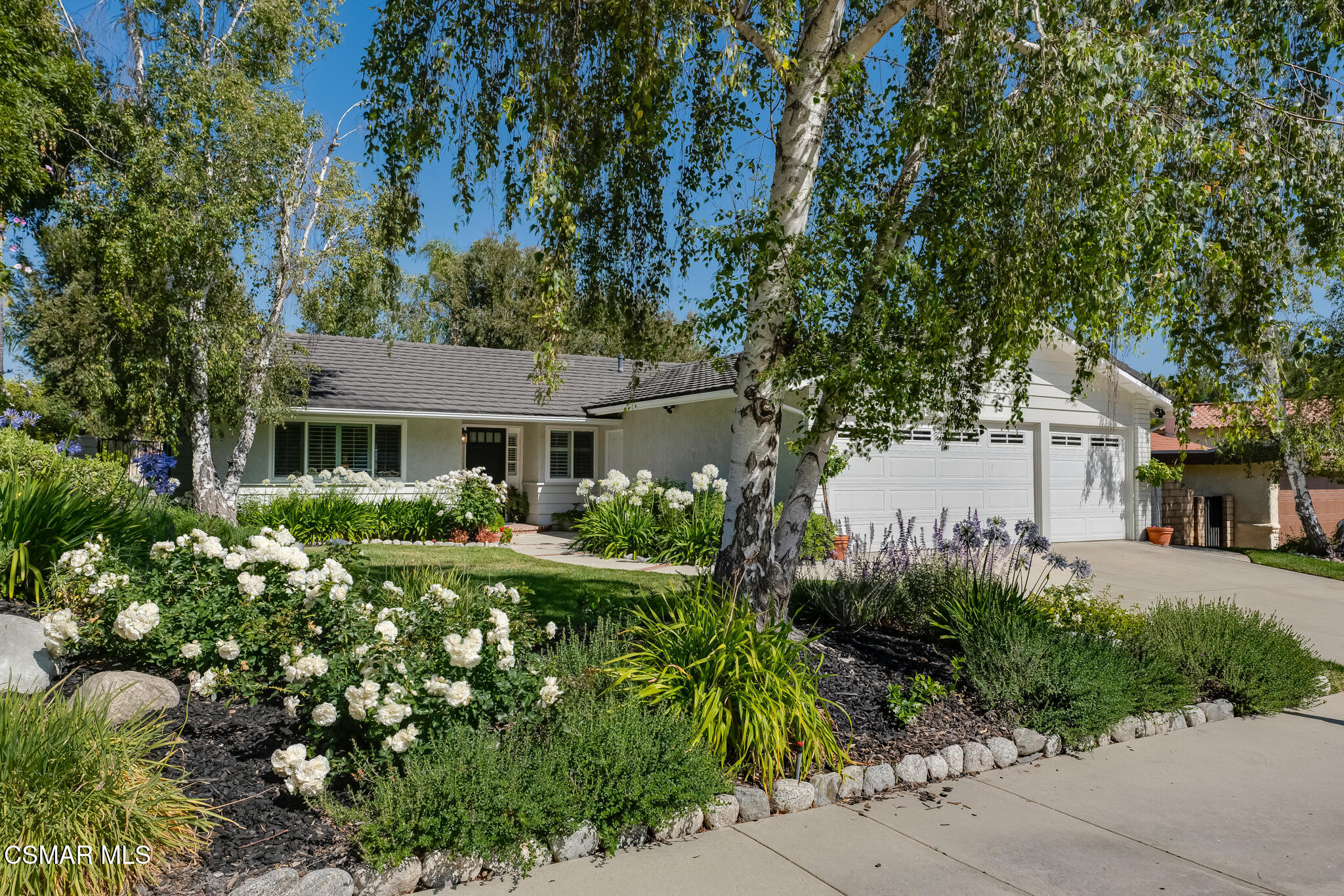 30806 Catarina Drive