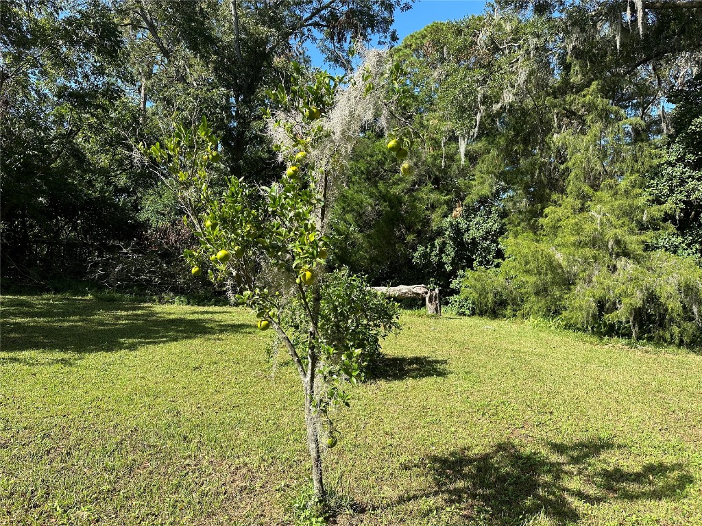 774 Adams Road, Fernandina Beach, Florida image 4