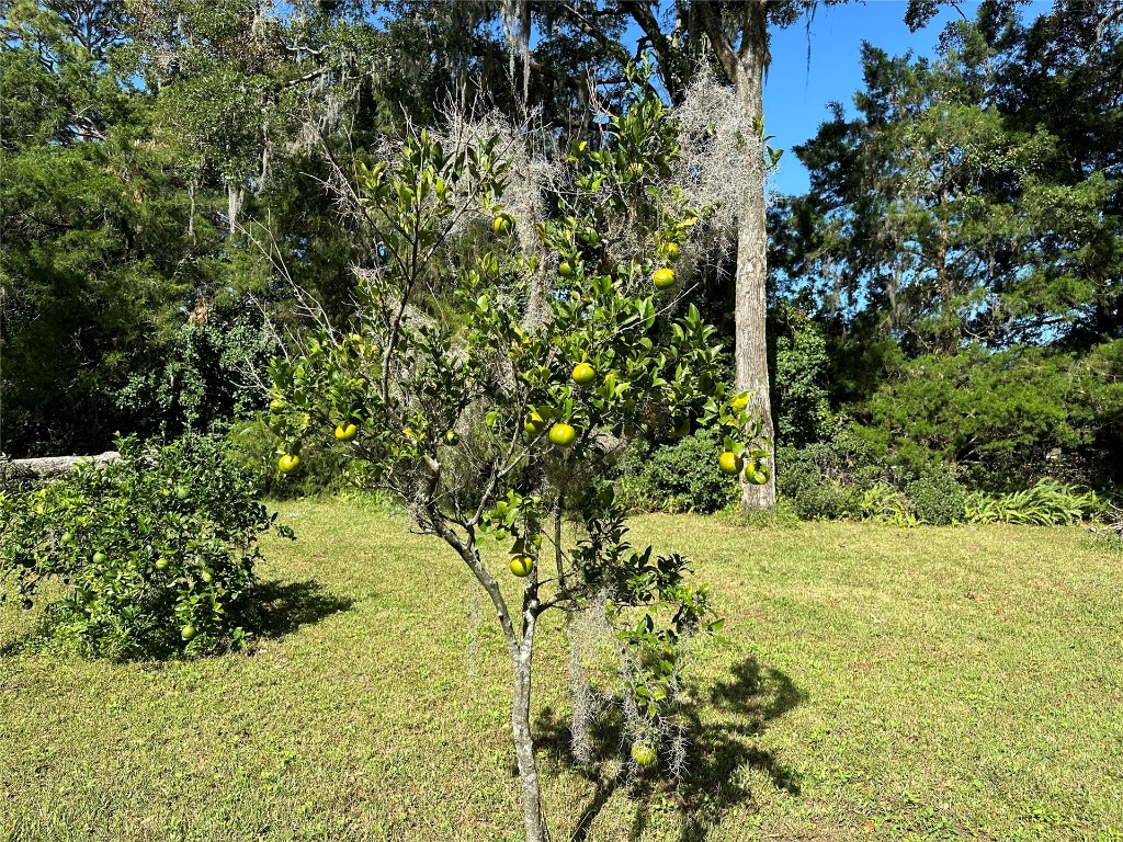 774 Adams Road, Fernandina Beach, Florida image 5