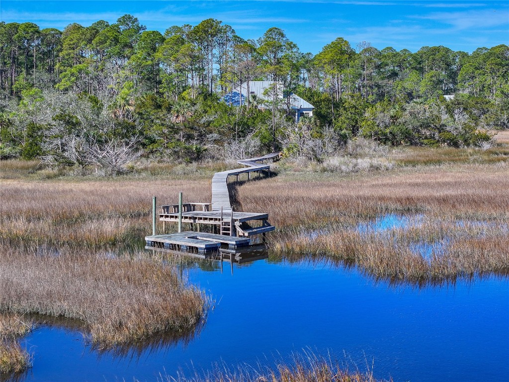 96114 Piney Island Drive, Fernandina Beach, Florida image 9