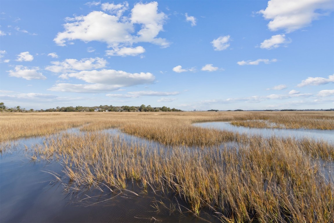 96114 Piney Island Drive, Fernandina Beach, Florida image 50