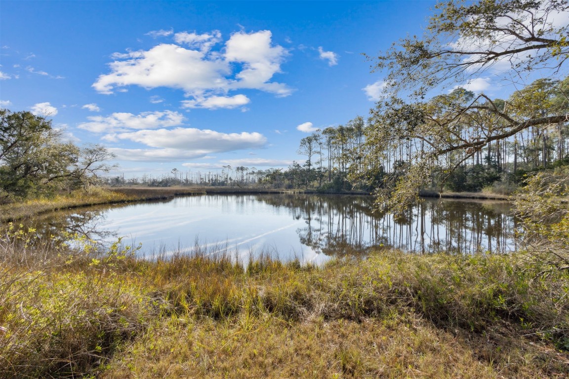 96114 Piney Island Drive, Fernandina Beach, Florida image 5