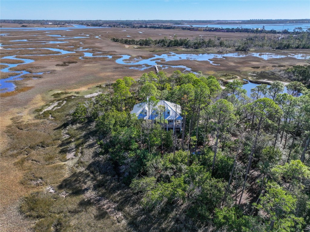 96114 Piney Island Drive, Fernandina Beach, Florida image 3