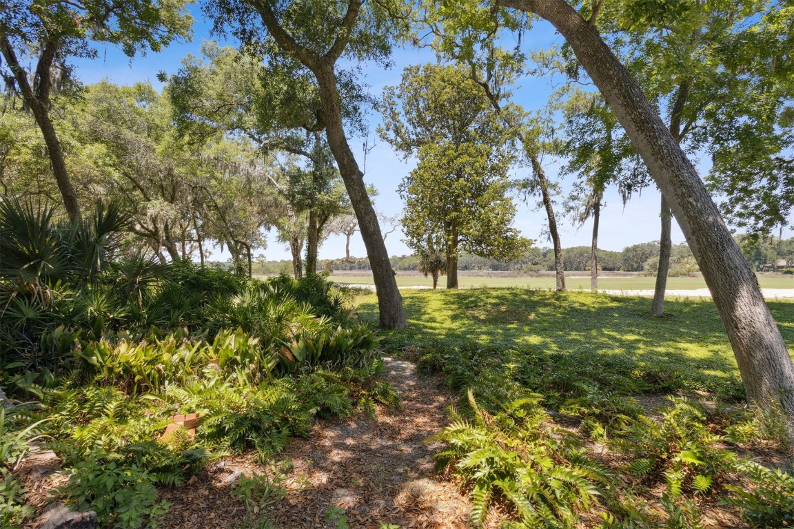22 Belted Kingfisher Rd, Fernandina Beach, New Mexico image 44