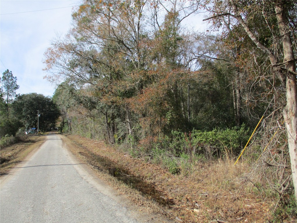 Quail Road, Callahan, Florida image 3