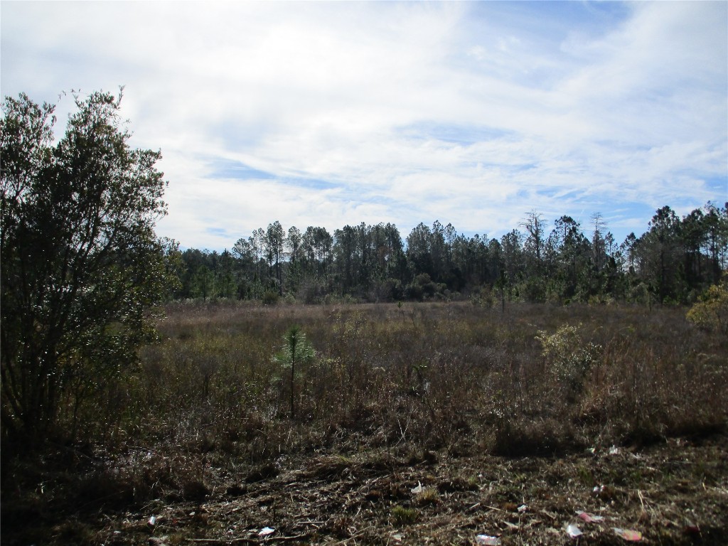 Quail Road, Callahan, Florida image 5