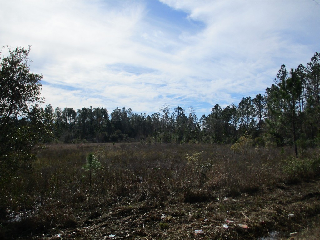 Quail Road, Callahan, Florida image 4