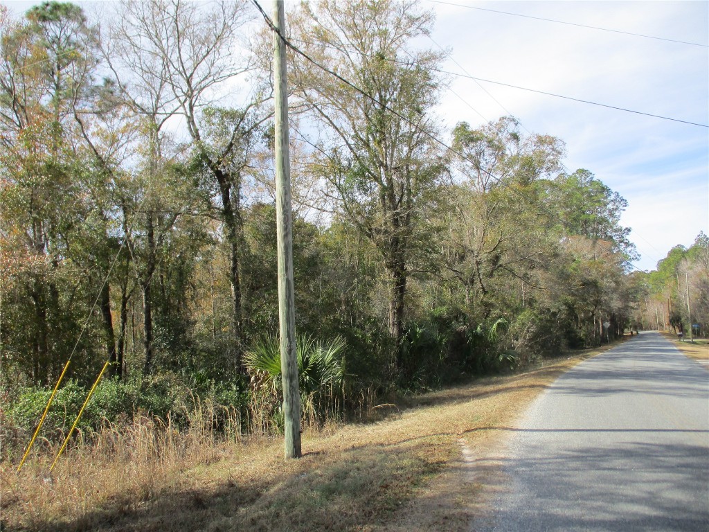 Quail Road, Callahan, Florida image 7