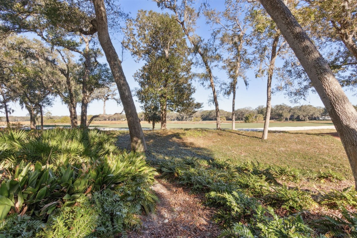 22 Belted Kingfisher Rd, Amelia Island, Florida image 33