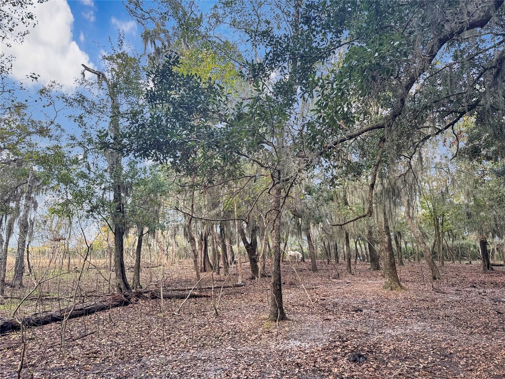 LOT 10 Alligator Creek Road, Fernandina Beach, Florida image 12