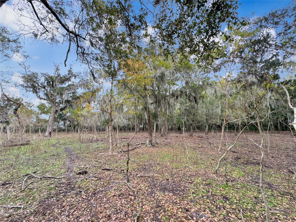 LOT 10 Alligator Creek Road, Fernandina Beach, Florida image 13