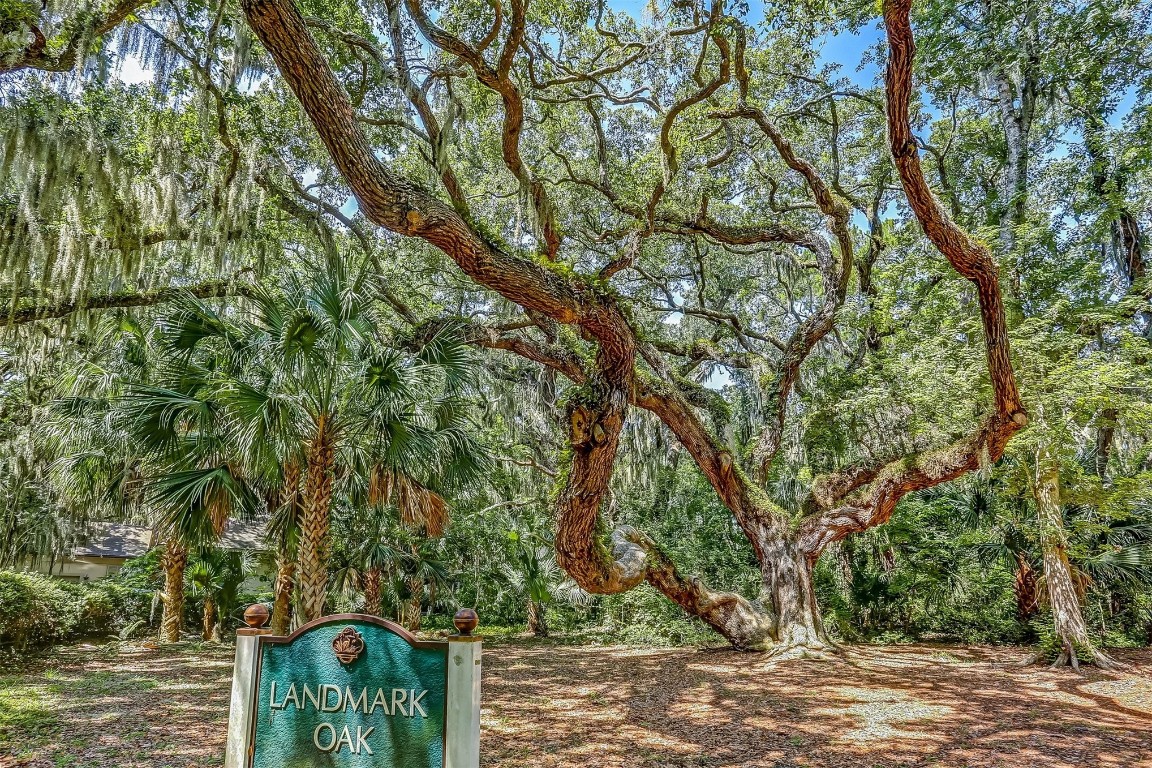 327/328 Sandcastles Court #284, Fernandina Beach, Florida image 42