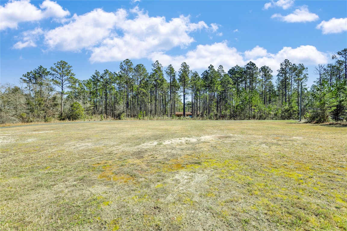 37662 Soli Deo Gloria Way, Hilliard, Florida image 12