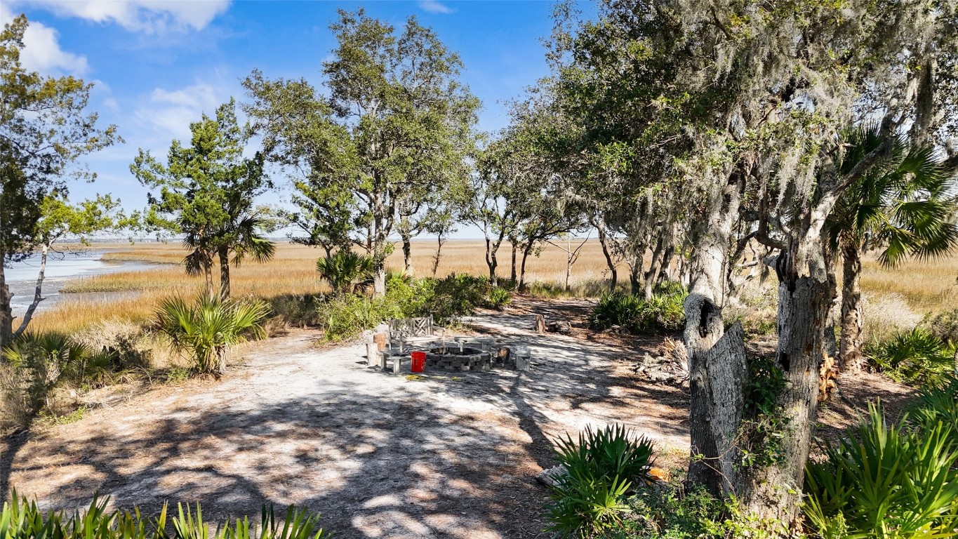 29041 Grandview Manor, Yulee, Florida image 6