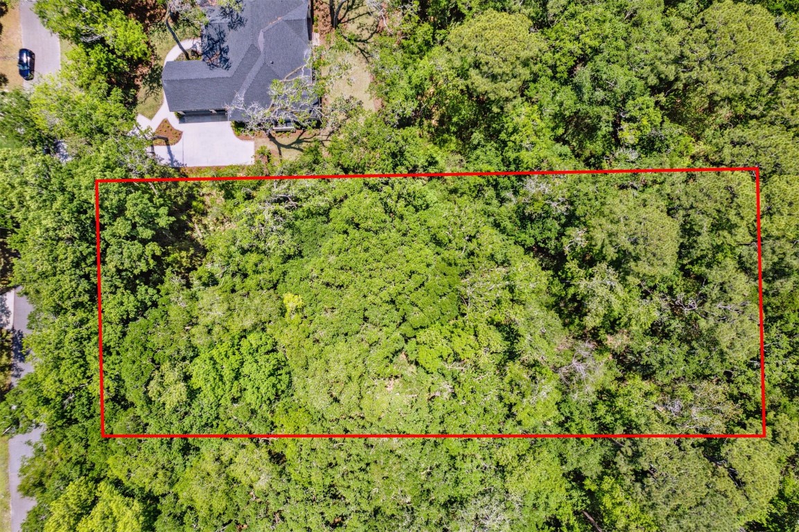 95213 Shell Midden Lane, Fernandina Beach, Florida image 2