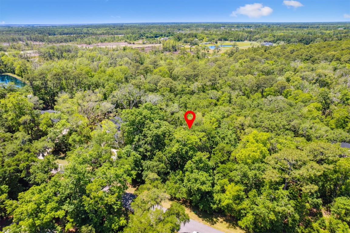 95213 Shell Midden Lane, Fernandina Beach, Florida image 1