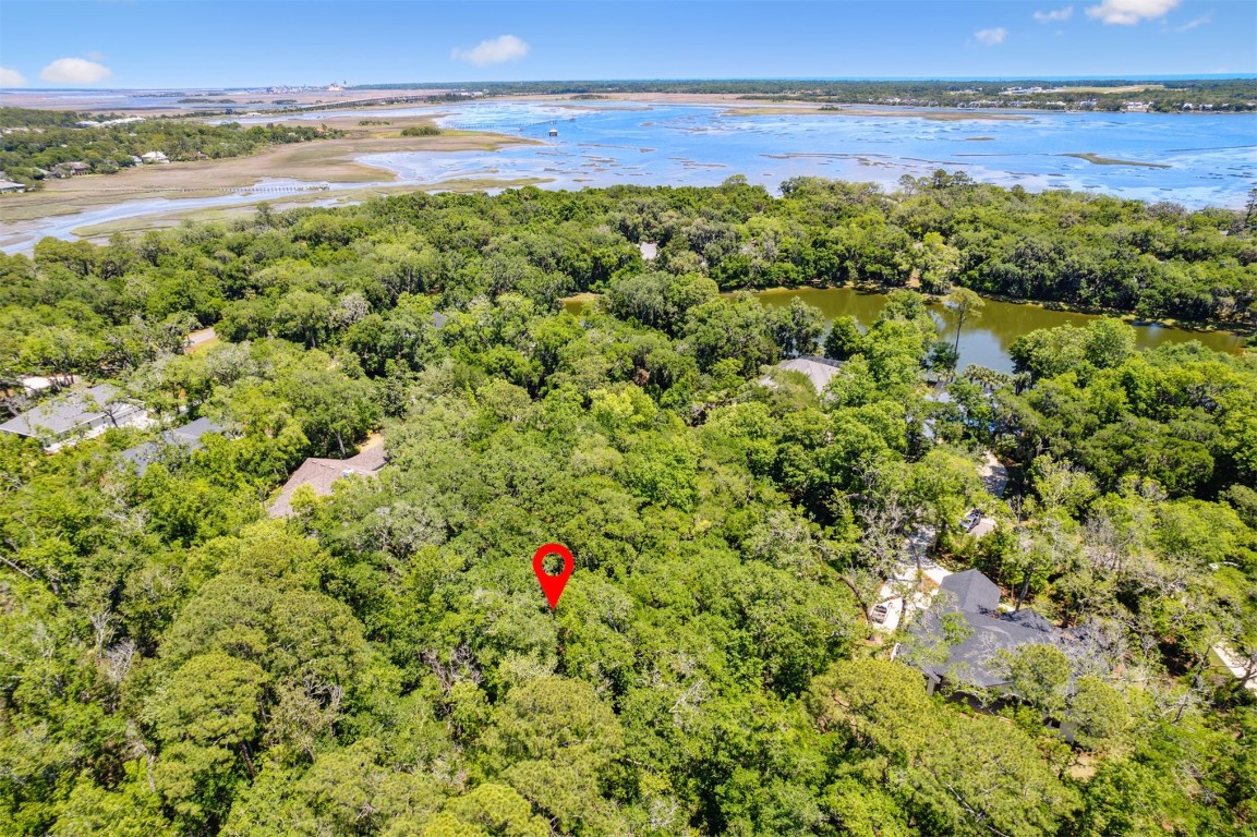 95213 Shell Midden Lane, Fernandina Beach, Florida image 5